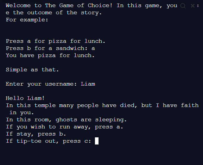 Liam, Grade 6